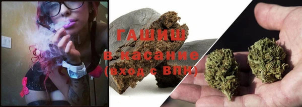 прущий лед Богданович