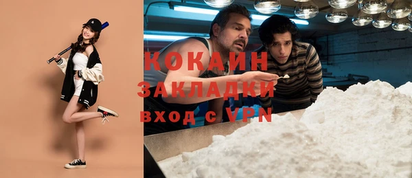 прущий лед Богданович