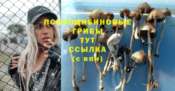 а пвп мука Богородицк