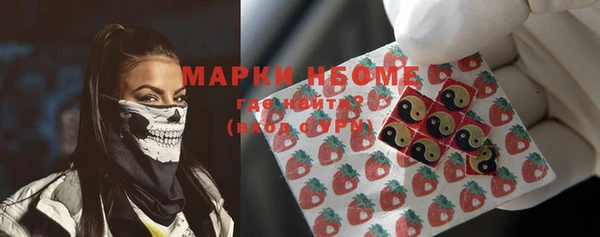 прущий лед Богданович