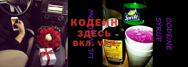прущий лед Богданович