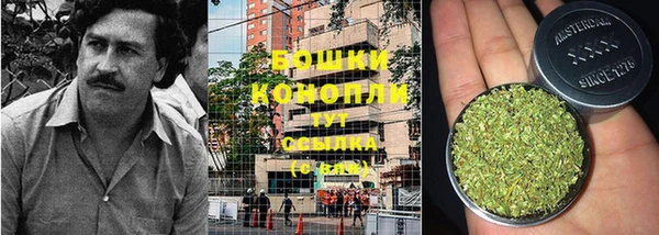 гашик Богородск