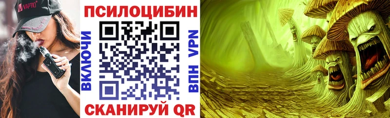 OMG онион  shop Telegram  Псилоцибиновые грибы мухоморы  Мариинский Посад 